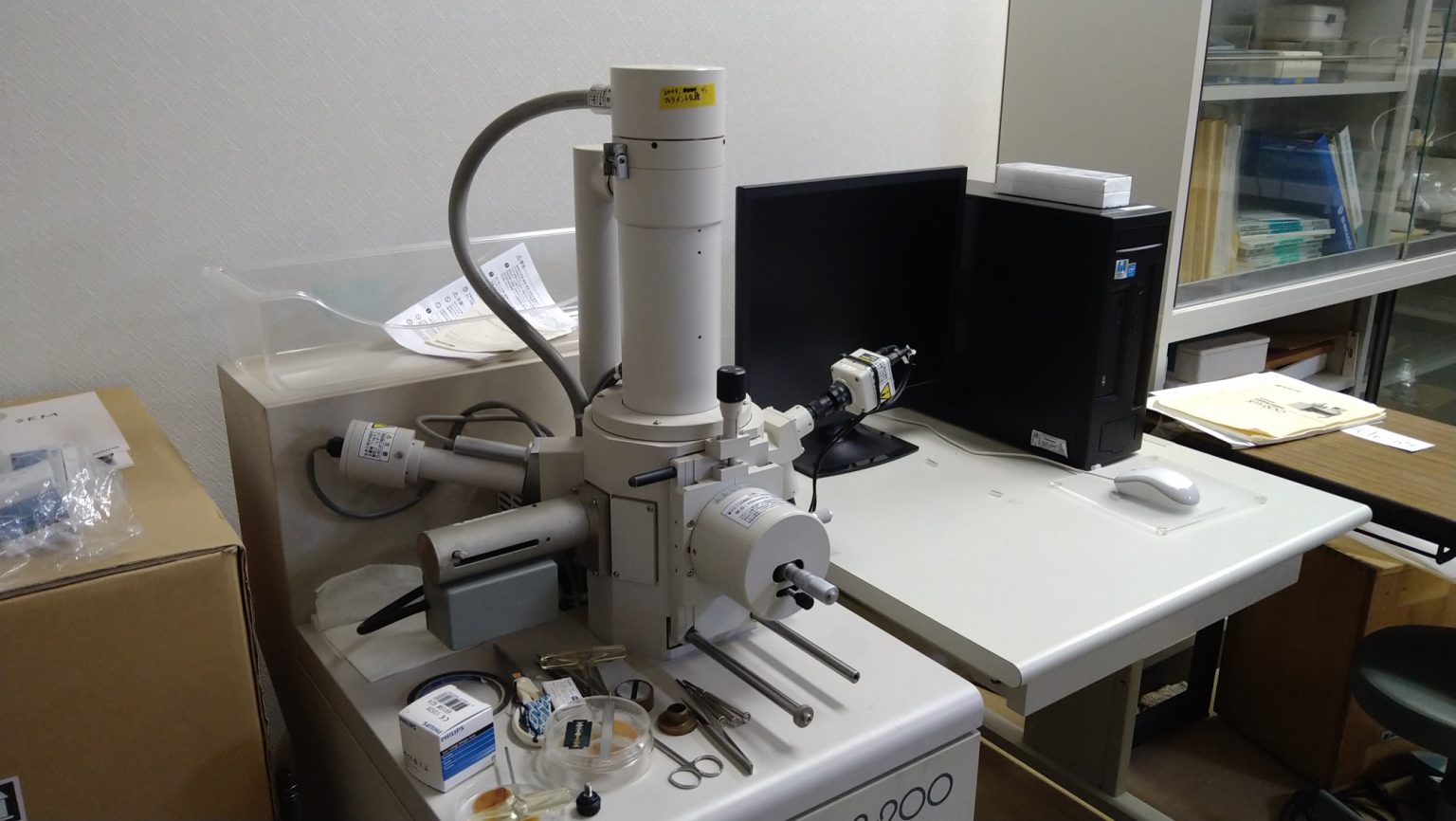 SEMの調整を行いました。 – 京都工芸繊維大学 生物資源フィールド科学教育研究センター